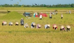 Ảnh: Cao Lập Đức