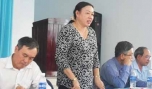 Bà Trần Kim Mai kết luận cuộc họp.