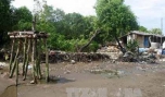 Đoạn bờ biển bị xâm thực và sạt lở nặng tại xã Tân Thành, Gò Công Đông. Ảnh: Minh Trí/TTXVN