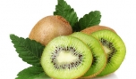 Một quả kiwi cung cấp khoảng 10% nhu cầu vitamin E hằng ngày của cơ thể - Ảnh: Shutterstock