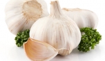 Tỏi có tác dụng giảm đau rất tốt - Ảnh: Shutterstock