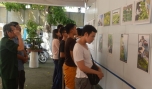 Các bạn trẻ xem hình ảnh tại triển lãm.
