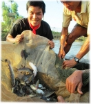 Kỳ bí Vàm Nao Kỳ 4: Khai thác Vàm Nao