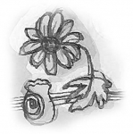 Minh hoạ: Thanh Tiên
