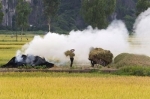 Khói nắng