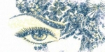 Lưu ảnh