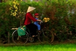 Tết của mẹ tôi