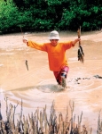 Mò cá bóng dừa - niềm vui thôn dã
