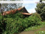 Một thoáng Việt Nam