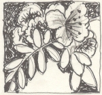 minh họa: Thanh Sơn