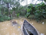 Mùa lụt