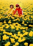 Ảnh minh họa. Ảnh: Như Lam