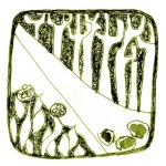 Minh họa: Lê Hồng Thái