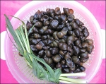 Ốc đắng – món ăn dân dã miền Tây