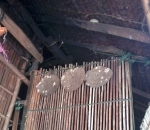 Kỳ lạ “bộ tộc ong bò vẽ” ở Đồng Nai