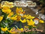 Phạm Thiên Thư: “Hoa vàng” vẫn nở