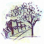 minh họa: Thanh Tiên