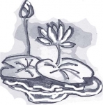 Minh họa: Thanh Tiên