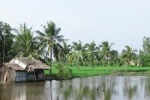 Tản cư