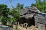 Tự sự hàng rào quê