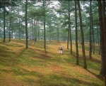 Trong rừng