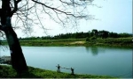 Tiếng chuông trôi trên sông