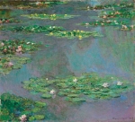 Bóng soi trên hồ hoa súng