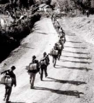 Hiểu đúng chữ "hoa" trong bài thơ "Tây Tiến"