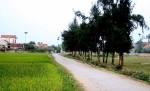 Chuyện ở làng thơ nghịch nhĩ