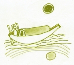 Minh họa: Lê Hồng Thái