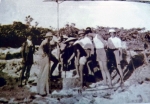 Mãi mãi Hoàng Sa - Kỳ 2: Thiên nhiên ở đảo