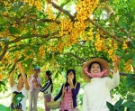 Vườn Ông Khánh, một thời ký ức