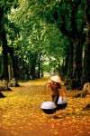 Heo may gió lộng