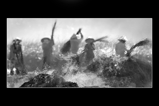 Dưới nắng hè - KK - Nguyễn Bách Thảo (Vĩnh Long)