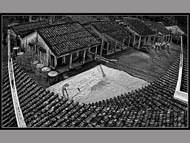 Làng quê Đồ Chiểu - KK - Minh Nhựt (Bến Tre)