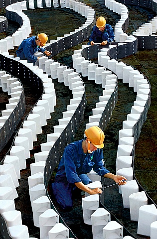 Sản phẩm mới - KK - Tô Châu (Long An)