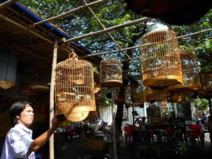 Anh Tuấn bên một góc sinh hoạt của những người thích chim cảnh.