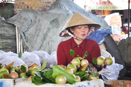 Đặc sản vú sữa Lò Rèn được người tiêu dùng trong và ngoài nước ưa chuộng. Ảnh: Minh Châu