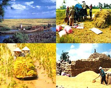 Một thoáng đồng bằng