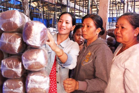 Học viên thực hành trồng nấm bào ngư.