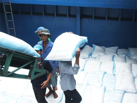 Chuyển gạo xuống sà lan để xuất khẩu tại Công ty TNHH Song Thuận.