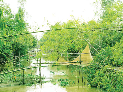 Sông nước hữu tình, tạo chất men cho nhà văn, nhà thơ sáng tác. Ảnh: C.K.S.