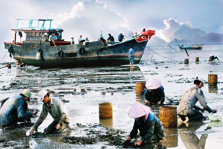 Được mùa nghêu. Ảnh: Duy Sơn