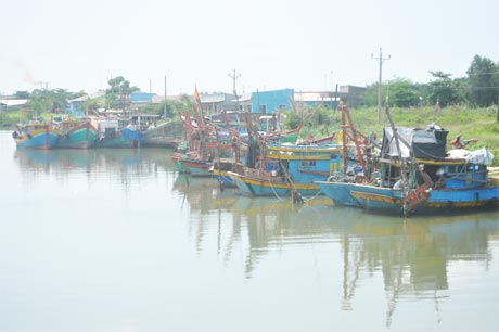 Tàu đánh bắt thủy sản theo mô hình hợp tác vừa cặp bến sau chuyến ra khơi. Ảnh: Nguyễn Sự