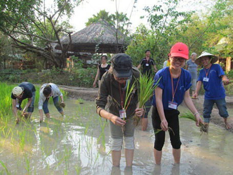 Học về cây lúa - một cách tiếp cận thật vui!