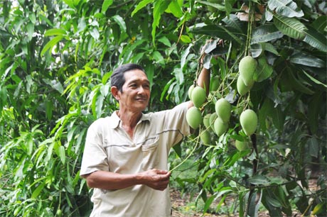 Nhiều mô hình trồng trọt đạt hiệu quả nhờ nguồn vốn tín dụng ngân hàng.