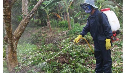 Ra quân phòng, chống dịch “chổi rồng” tại xã Hòa Hưng, huyện Cái Bè.