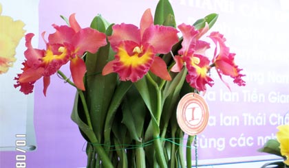 Tác phẩm hoa lan độc đáo.