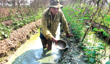 Ảnh minh họa. Ảnh: Vân Anh