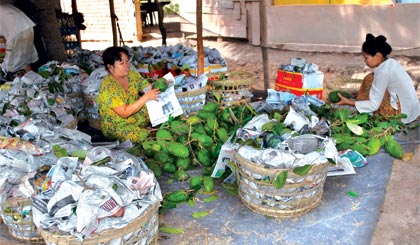 Một điểm thu mua mãng cầu Xiêm.